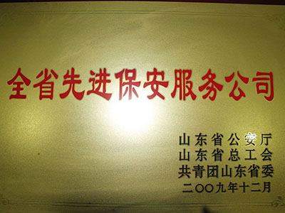 2009年全省先进保安服务公司
