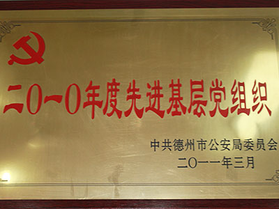 2010年度先进基层党组织