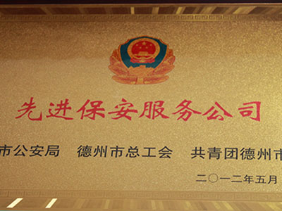 2012年先进保安服务公司
