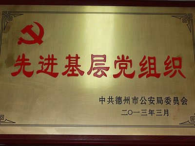 2013年先进基层党组织