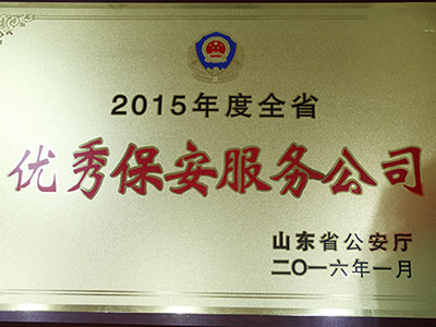 2015年度优秀保安服务公司